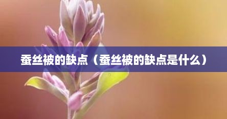 蚕丝被的缺点（蚕丝被的缺点是什么）