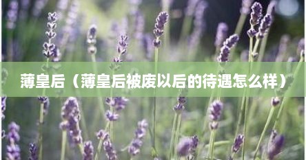 薄皇后(薄皇后被废以后的待遇怎么样)