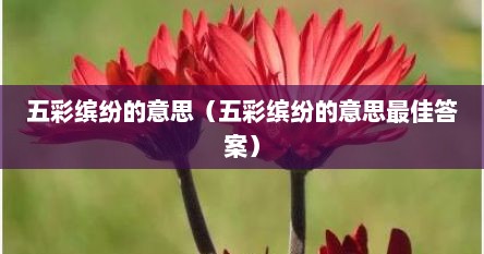 五彩缤纷的意思（五彩缤纷的意思最佳答案）