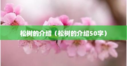 松树的介绍（松树的介绍50字）