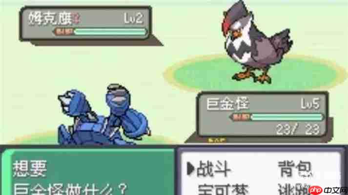 口袋妖怪rom下载大全：GBA/NDS中文版游戏免费获取