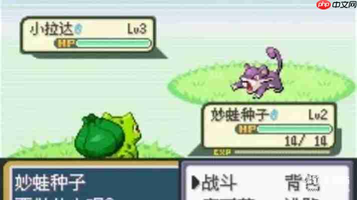 口袋妖怪rom下载大全：GBA/NDS中文版游戏免费获取