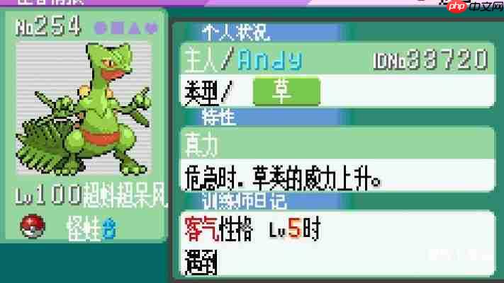 口袋妖怪rom下载大全：GBA/NDS中文版游戏免费获取