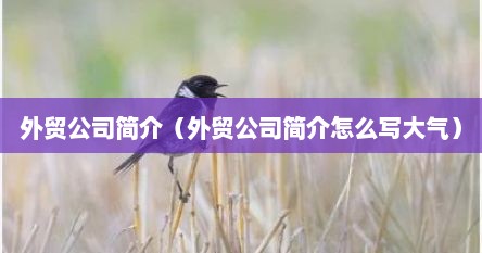 外贸公司简介（外贸公司简介怎么写大气）