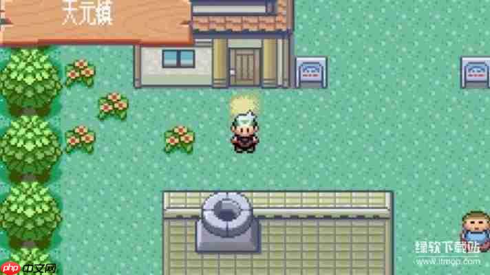 口袋妖怪rom下载大全:GBA/NDS中文版游戏免费获取