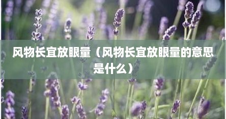 风物长宜放眼量（风物长宜放眼量的意思是什么）