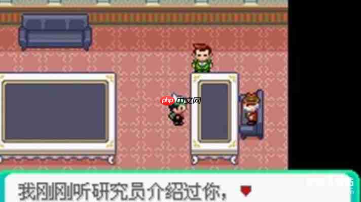 口袋妖怪rom下载大全:GBA/NDS中文版游戏免费获取