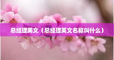 总经理英文（总经理英文名称叫什么）