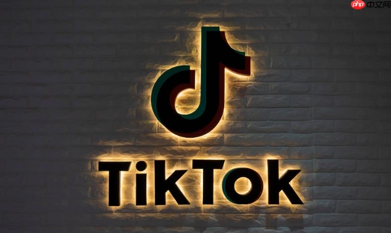 tiktok在线看免费入口 tiktok在线看免费进网址