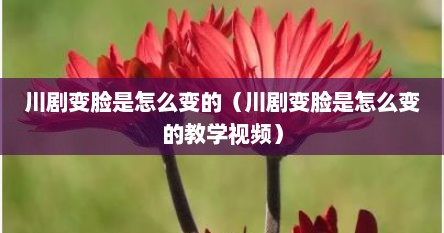 川剧变脸是怎么变的（川剧变脸是怎么变的教学视频）