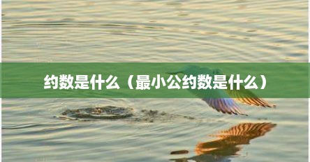 约数是什么（最小公约数是什么）