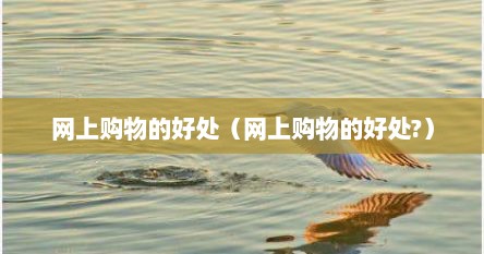 网上购物的好处（网上购物的好处?）