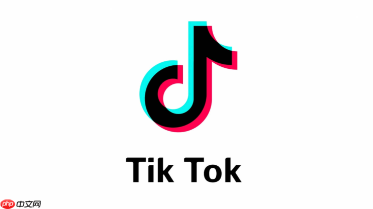 tiktok网页版网址 tiktok网页版进入入口