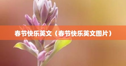 春节快乐英文（春节快乐英文图片）