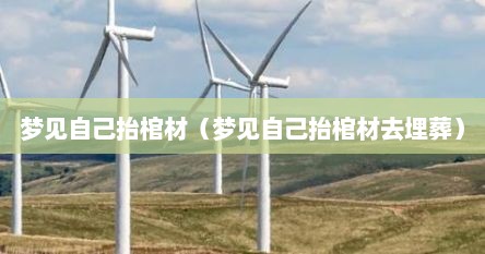 梦见自己抬棺材（梦见自己抬棺材去埋葬）