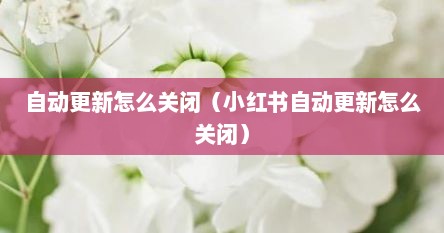 自动更新怎么关闭（小红书自动更新怎么关闭）