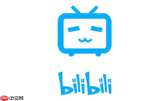 bilibili大会员有什么用_bilibili大会员权益与功能介绍