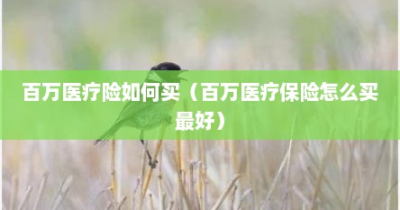 百万医疗险如何买(百万医疗保险怎么买最好)