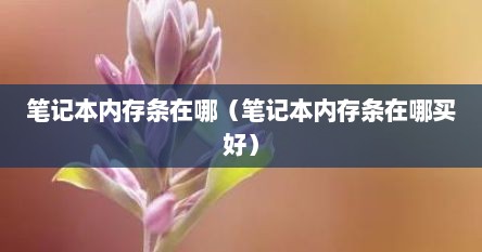 笔记本内存条在哪（笔记本内存条在哪买好）