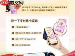 碰一下支付集卡有什么攻略