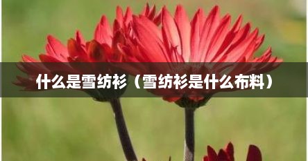 什么是雪纺衫（雪纺衫是什么布料）