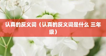认真的反义词（认真的反义词是什么 三年级）