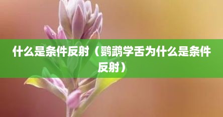 什么是条件反射（鹦鹉学舌为什么是条件反射）