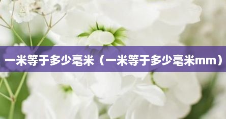 一米等于多少毫米（一米等于多少毫米mm）