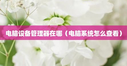 电脑设备管理器在哪（电脑系统怎么查看）