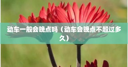 动车一般会晚点吗（动车会晚点不超过多久）