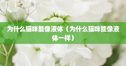 为什么猫咪能像液体（为什么猫咪能像液体一样）