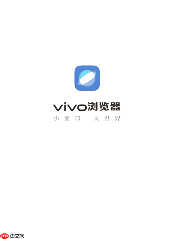 vivo浏览器下载的东西怎么安装_vivo浏览器已下载文件安装步骤