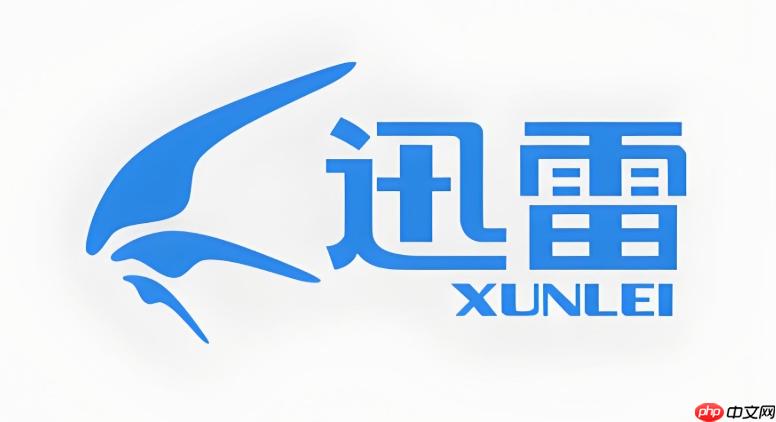 迅雷网页在线入口 迅雷网页在线登录链接