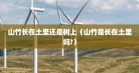 山竹长在土里还是树上（山竹是长在土里吗?）