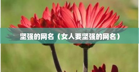 坚强的网名（女人要坚强的网名）