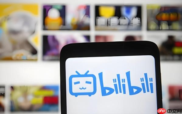 bilibili怎么看自己的uid_bilibili用户uid查看方法