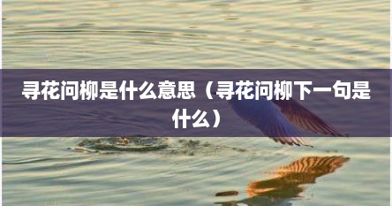 寻花问柳是什么意思（寻花问柳下一句是什么）