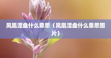 凤凰涅盘什么意思（凤凰涅盘什么意思图片）