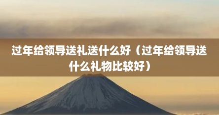过年给领导送礼送什么好（过年给领导送什么礼物比较好）