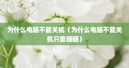 为什么电脑不能关机（为什么电脑不能关机只能睡眠）