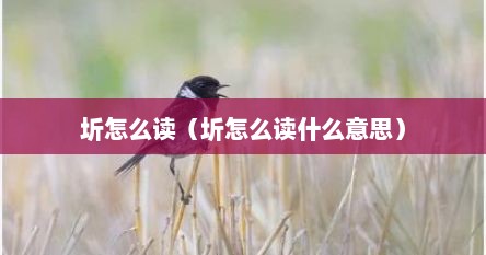 圻怎么读（圻怎么读什么意思）
