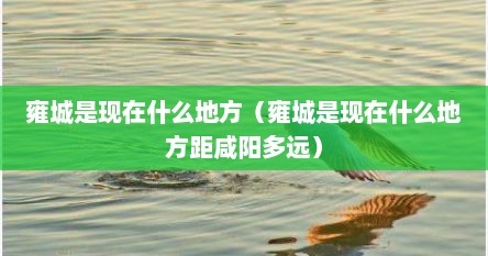 雍城是现在什么地方（雍城是现在什么地方距咸阳多远）