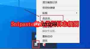 如何关闭Snipaste的日志级别