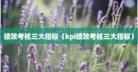 绩效考核三大指标（kpi绩效考核三大指标）