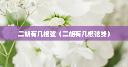 二胡有几根弦（二胡有几根弦线）