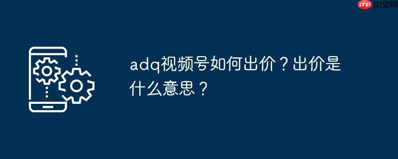 adq视频号如何出价？出价是什么意思？