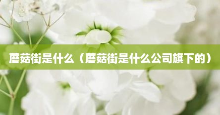 蘑菇街是什么（蘑菇街是什么公司旗下的）