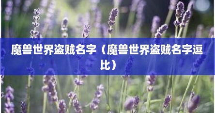 魔兽世界盗贼名字（魔兽世界盗贼名字逗比）