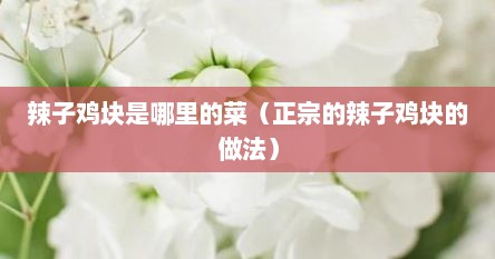 辣子鸡块是哪里的菜（正宗的辣子鸡块的做法）
