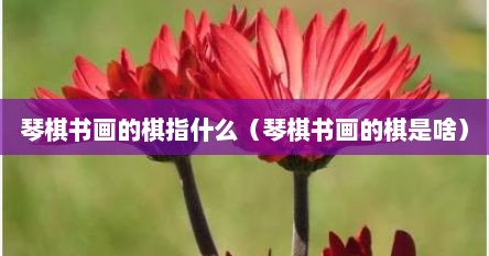 琴棋书画的棋指什么（琴棋书画的棋是啥）